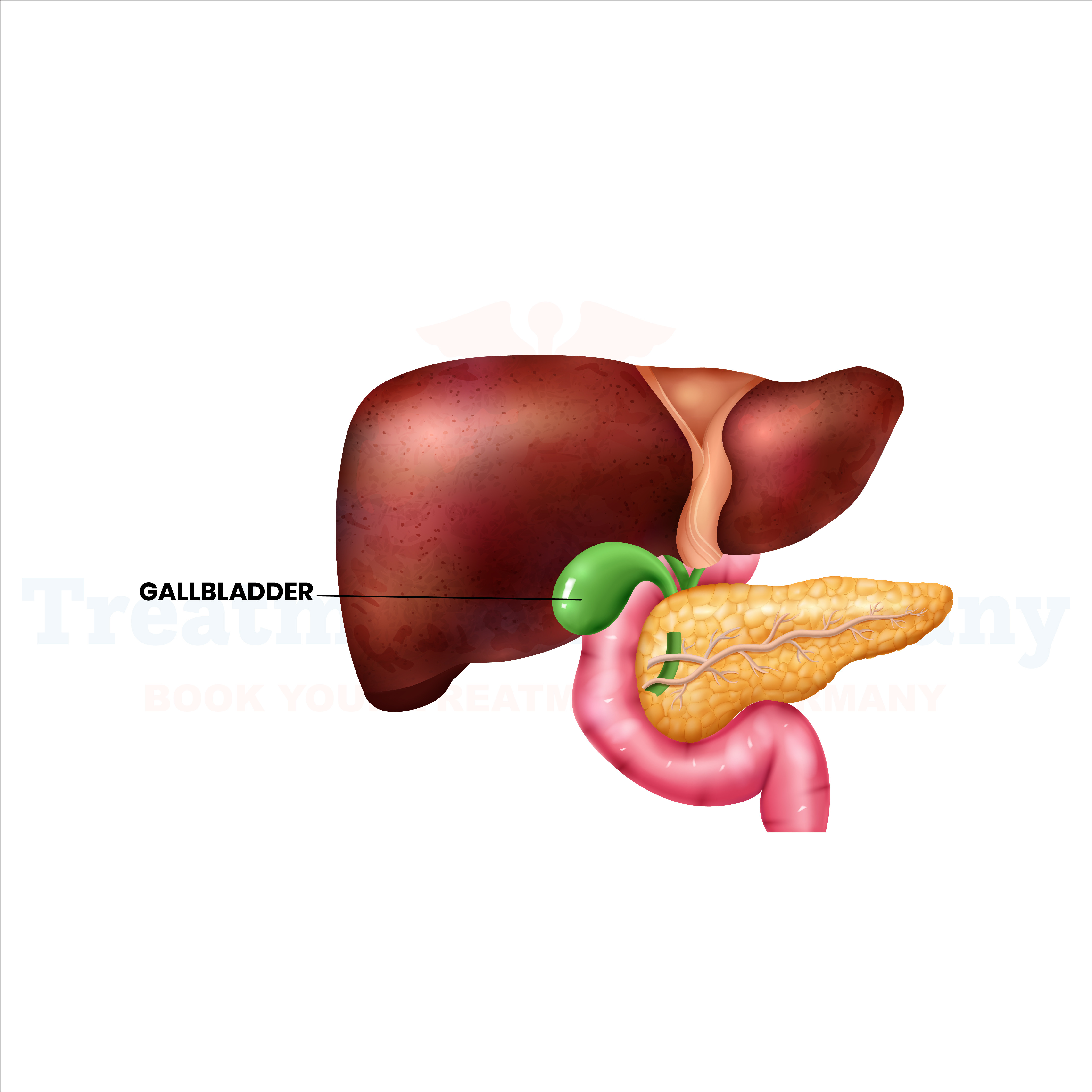 Gallbladder Cancer
