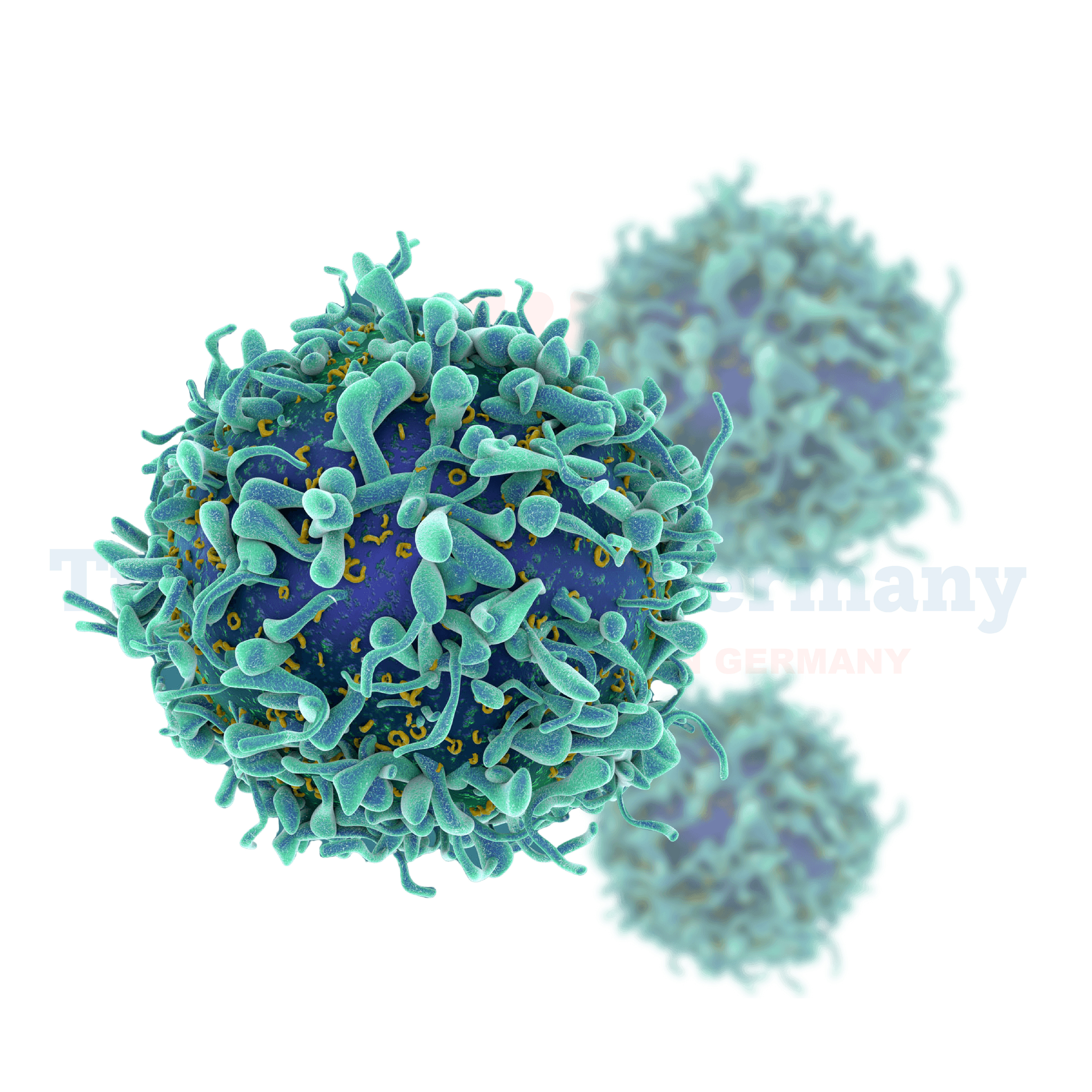 Disease Category